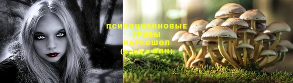 2c-b Аксай