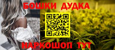 сатива Гатчина