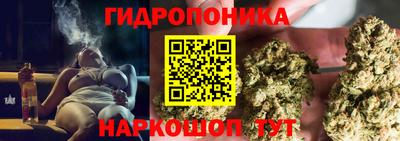 a pvp Абакан
