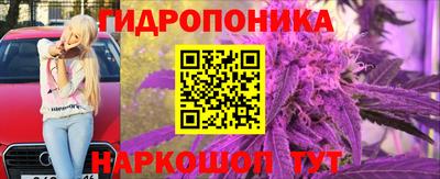 гашик Абинск