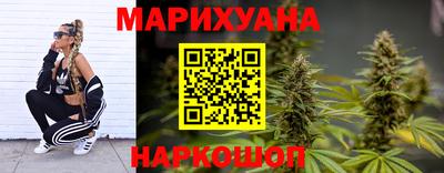 сатива Гатчина