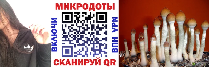 Псилоцибиновые грибы MAGIC MUSHROOMS  Александров 