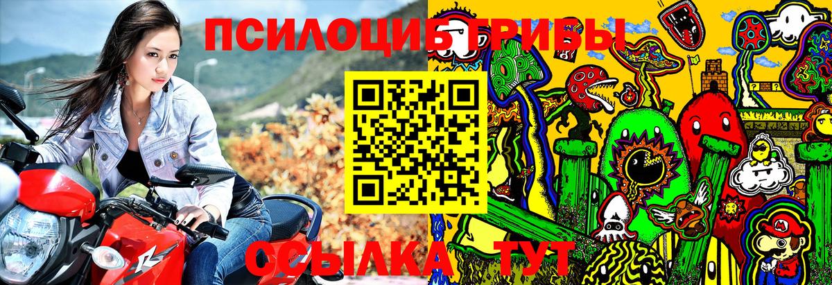 Псилоцибиновые грибы MAGIC MUSHROOMS  Вход с VPN  Александров 