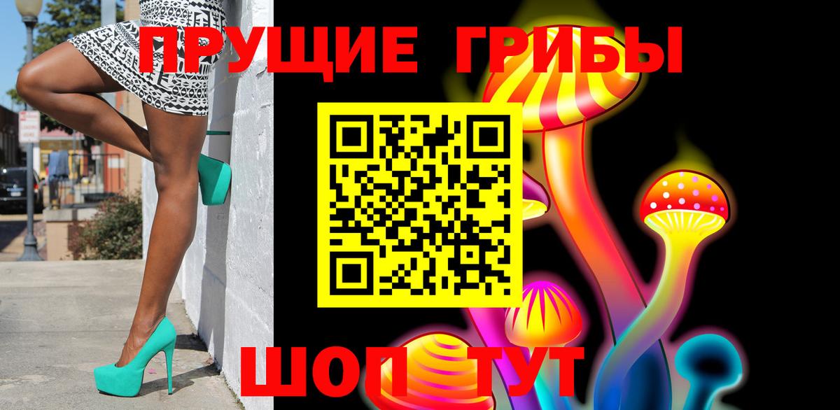 Александров  Галлюциногенные грибы ЛСД  Псилоцибиновые грибы прущие грибы  где купить   Вход с VPN 