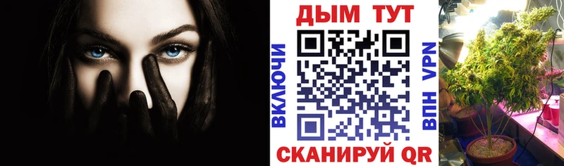 blacksprut зеркало  даркнет телеграм  Канабис MAZAR  Александров 