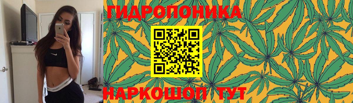 Канабис LSD WEED  Александров  Конопля конопля 