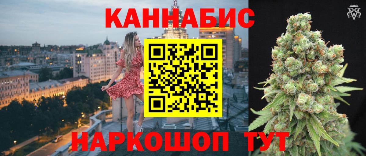 Каннабис планчик Александров